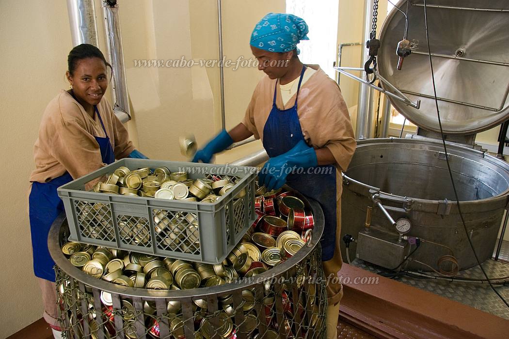 So Nicolau : Tarrafal : fish : People WorkCabo Verde Foto Gallery
