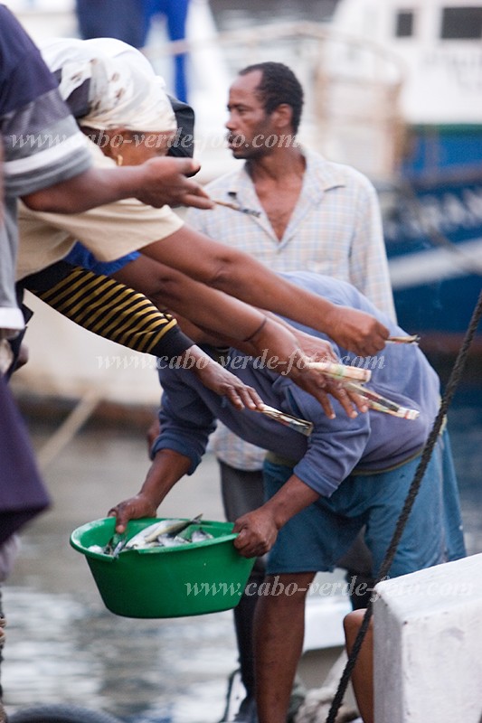 So Nicolau : Tarrafal : peixe : People WorkCabo Verde Foto Gallery