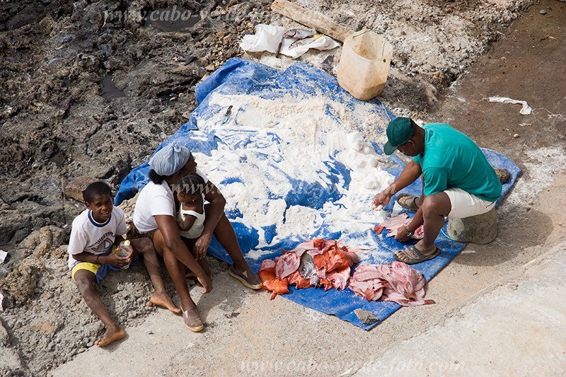 So Nicolau : Carrial : peixe : People WorkCabo Verde Foto Gallery