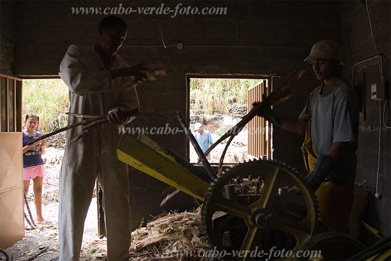 So Nicolau : Vila Ribeira Brava : Fabricacao de grouge : People WorkCabo Verde Foto Gallery