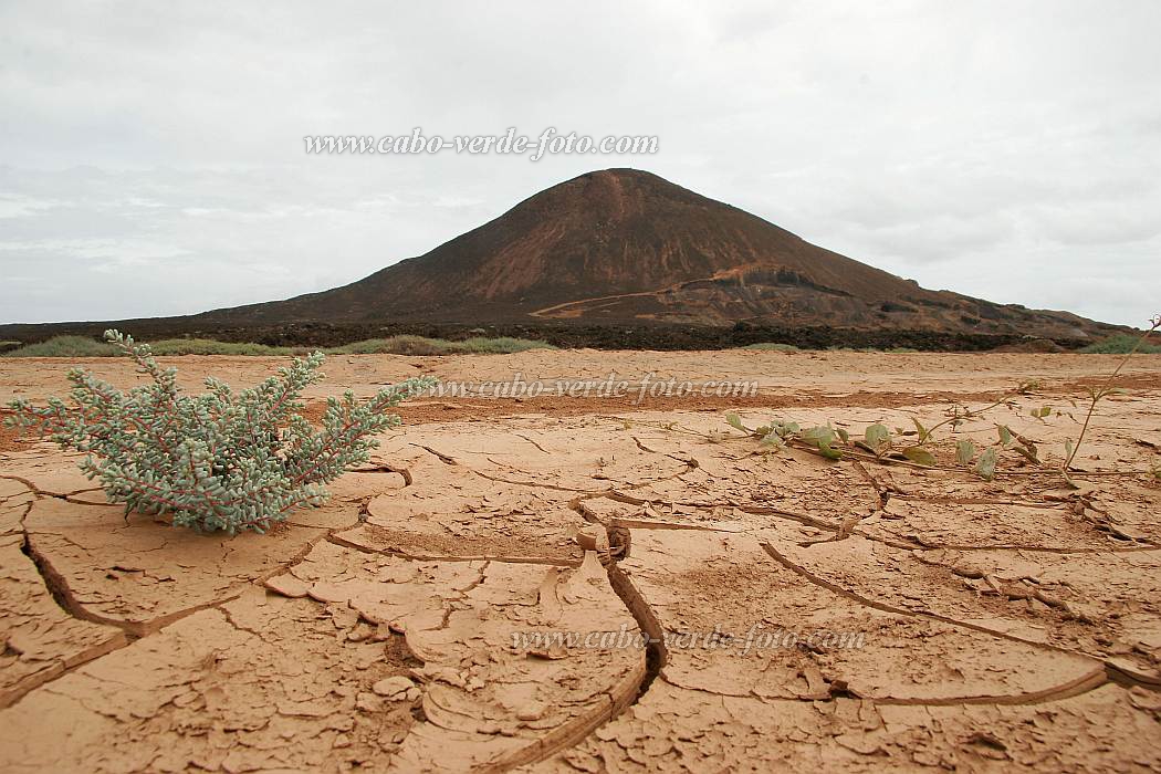 So Vicente : Calhau : vulco : Landscape DesertCabo Verde Foto Gallery