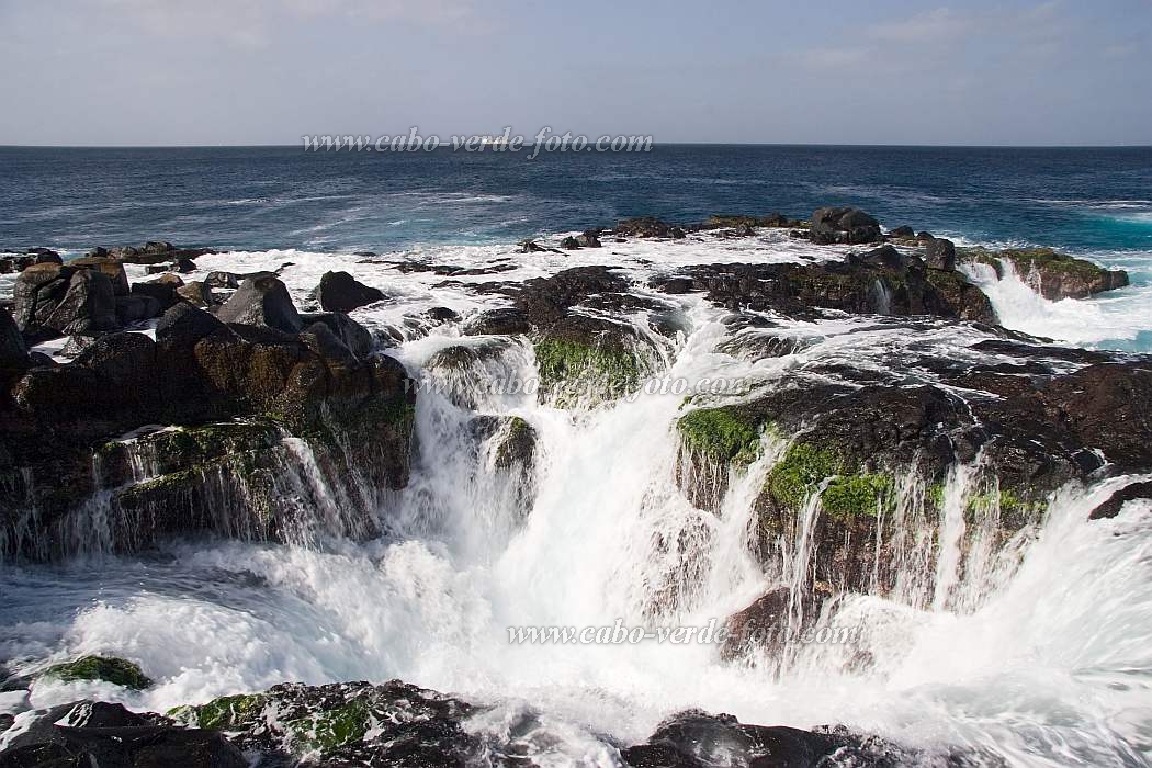 Sal : Palmeira : raving sea : Landscape SeaCabo Verde Foto Gallery