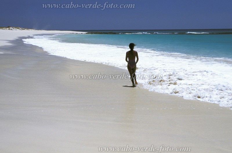 Boa Vista : Praia de Santa Mnica : praia : Landscape SeaCabo Verde Foto Gallery