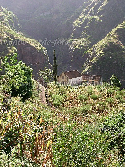 Santo Anto : Joao Afonso Caibros : hiking trail farm : Landscape MountainCabo Verde Foto Gallery