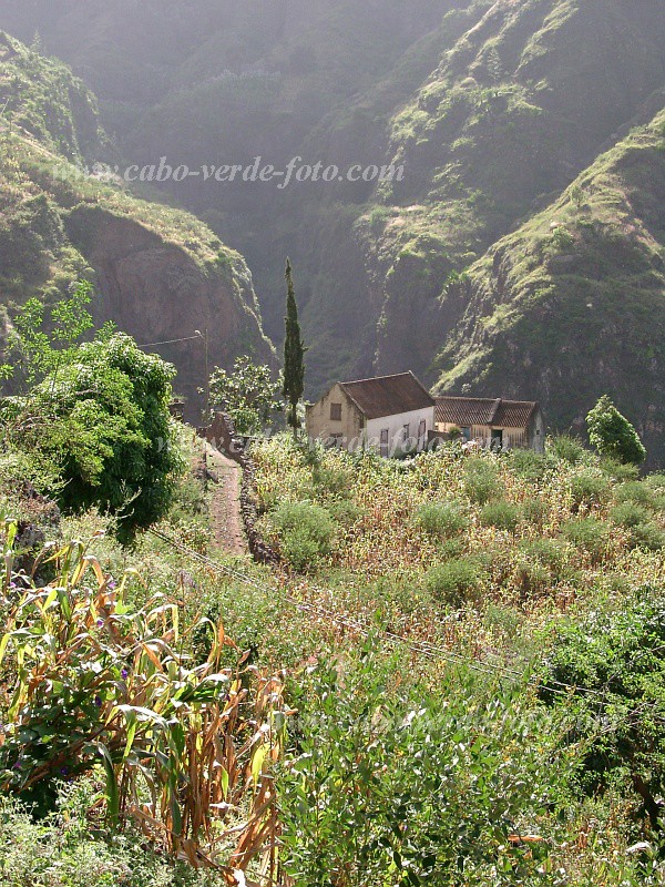Santo Anto : Joo Afonso : hiking trail : Landscape AgricultureCabo Verde Foto Gallery