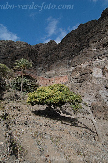 Insel: So Vicente  Wanderweg:  Ort: Santa Luzia da Terra Motiv: Oase Motivgruppe: Landscape © Pitt Reitmaier www.Cabo-Verde-Foto.com