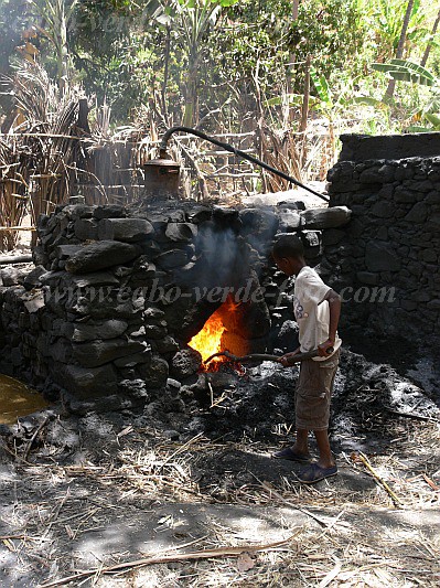 Santiago : Tabugal : destillery : Technology AgricultureCabo Verde Foto Gallery
