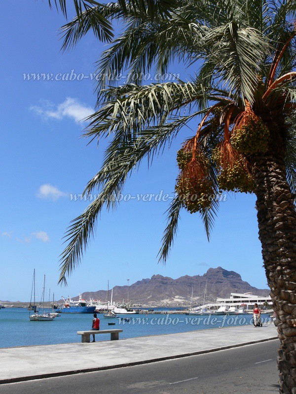 So Vicente : Mindelo : tamareira : Landscape SeaCabo Verde Foto Gallery