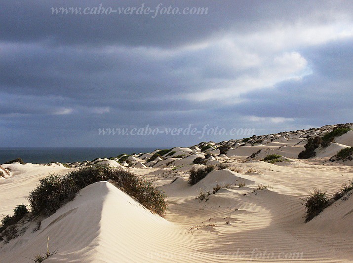 Boa Vista : Cabo Santa Maria : duna : Landscape DesertCabo Verde Foto Gallery