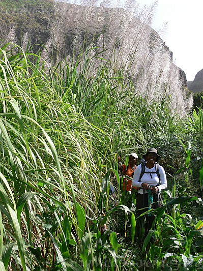 Santiago : Tabugal : hiking track : Landscape AgricultureCabo Verde Foto Gallery