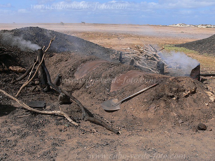 Maio : Morinho : charcoal : Technology EnergyCabo Verde Foto Gallery