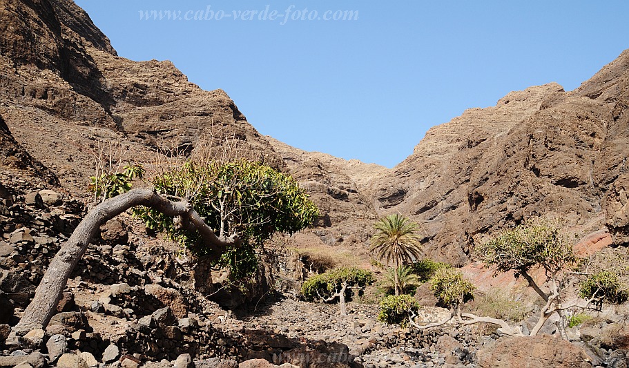 So Vicente : Santa Luzia da Terra : oasis : Landscape MountainCabo Verde Foto Gallery
