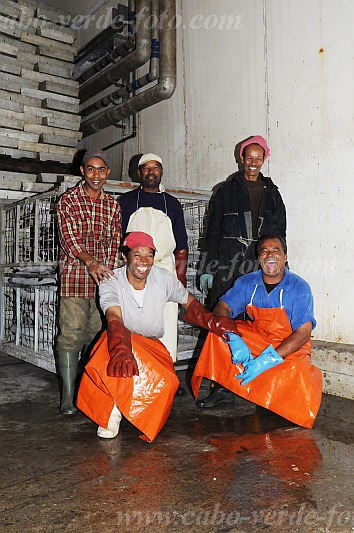 So Vicente : Mindelo Interbase : armazm refrigerao : People WorkCabo Verde Foto Gallery
