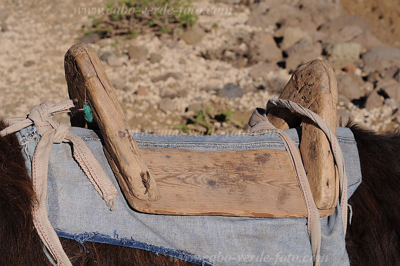 Santo Anto : Bordeira de Norte : saddle donkey : Technology TransportCabo Verde Foto Gallery