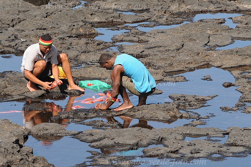 Santo Anto : Ponta do Sol : fishermen : People WorkCabo Verde Foto Gallery