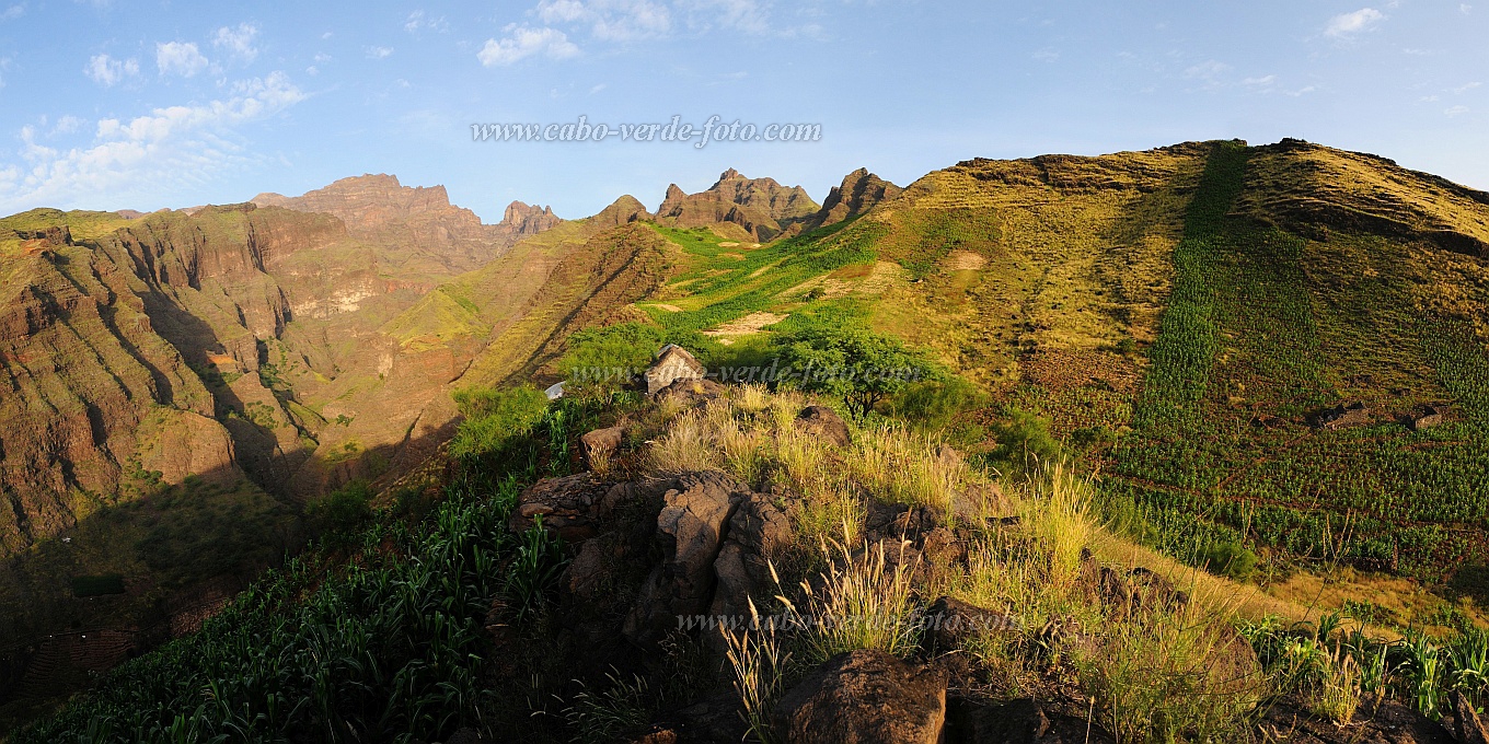 Santo Anto : Tabuleirinho da Tabuga : green landscape : LandscapeCabo Verde Foto Gallery