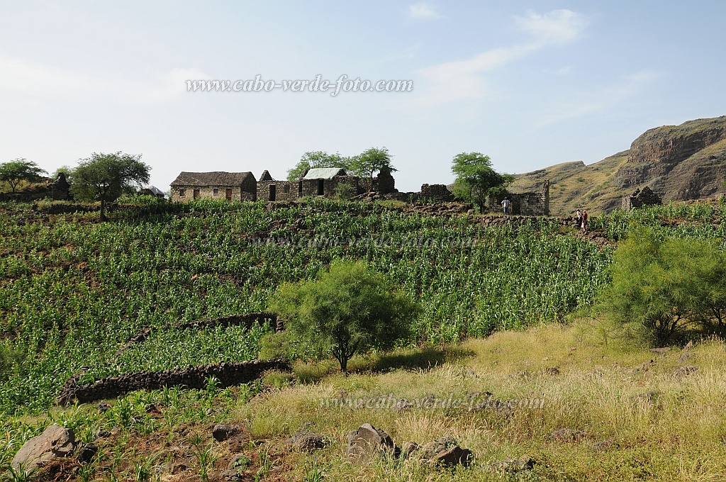Santo Anto : Tabuleirinho da Tabuga : campo ruina : Landscape AgricultureCabo Verde Foto Gallery