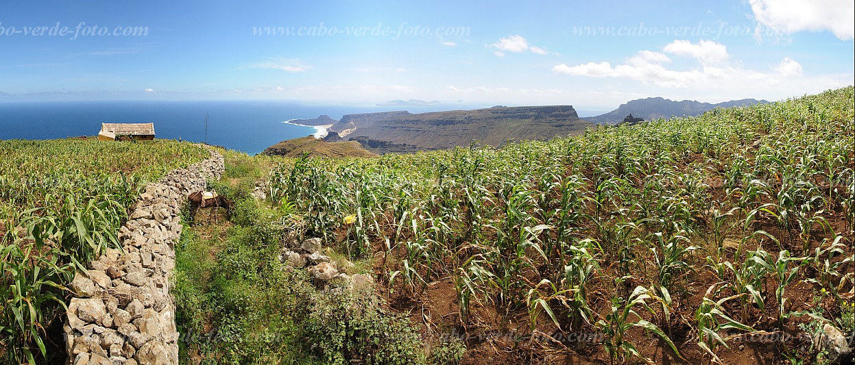 So Vicente : Monte Verde : field : Landscape AgricultureCabo Verde Foto Gallery