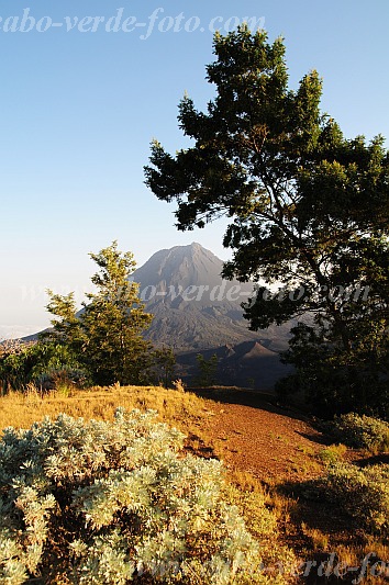 Fogo : Bordeira Monte Gomes : view at pico : Landscape MountainCabo Verde Foto Gallery