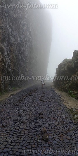 So Vicente : Monte Verde : road in the fog : Landscape MountainCabo Verde Foto Gallery