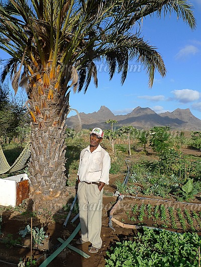 So Vicente : Ra de Vinha : horticultura : People WorkCabo Verde Foto Gallery