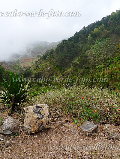 So Nicolau : Ladeira de Salamao : trilha no Parque Natural Monte Gordo : Landscape MountainCabo Verde Foto Gallery