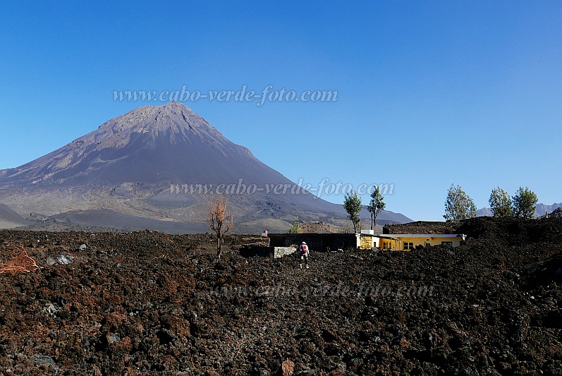 Fogo : Ch das Caldeira Bangaeira : Casa Fernando menos destruida pela lava : Landscape MountainCabo Verde Foto Gallery