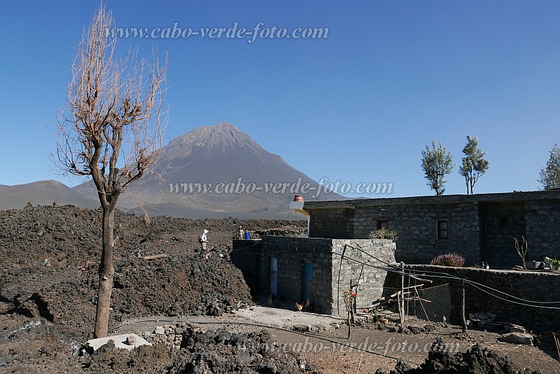 Fogo : Ch das Caldeira Bangaeira : Casa Fernando menos destruida pela lava : Landscape MountainCabo Verde Foto Gallery