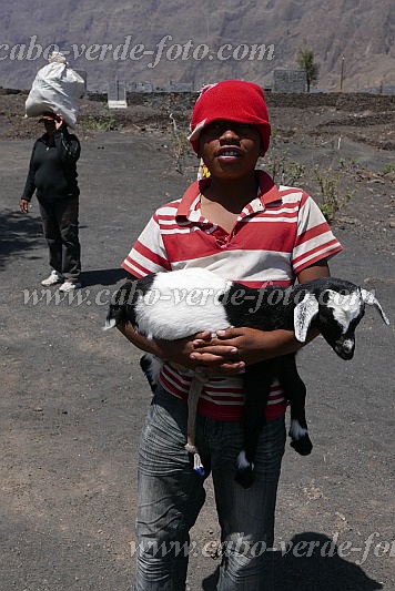 Fogo : Ch das Caldeira Portela : boy with goat kid : People WorkCabo Verde Foto Gallery