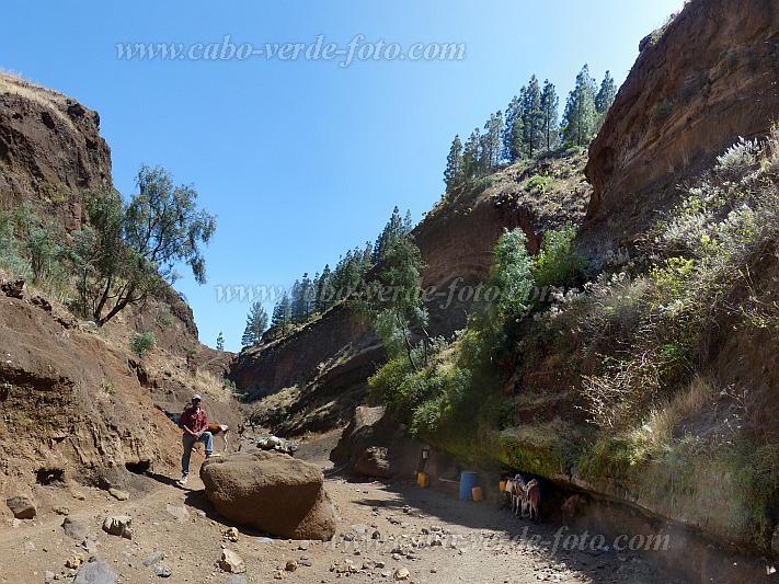 Santo Anto : Ribeira de Poi : hiking trail canyon water source : Landscape MountainCabo Verde Foto Gallery