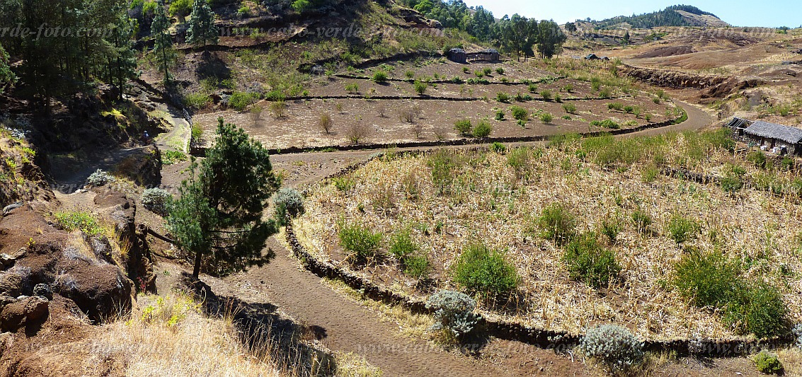 Santo Anto : Ribeira de Poi : sandy wadi : Landscape AgricultureCabo Verde Foto Gallery