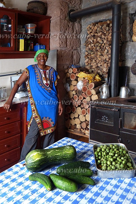 Santo Anto : Pico da Cruz : squash cucumber microirrigation : Technology AgricultureCabo Verde Foto Gallery