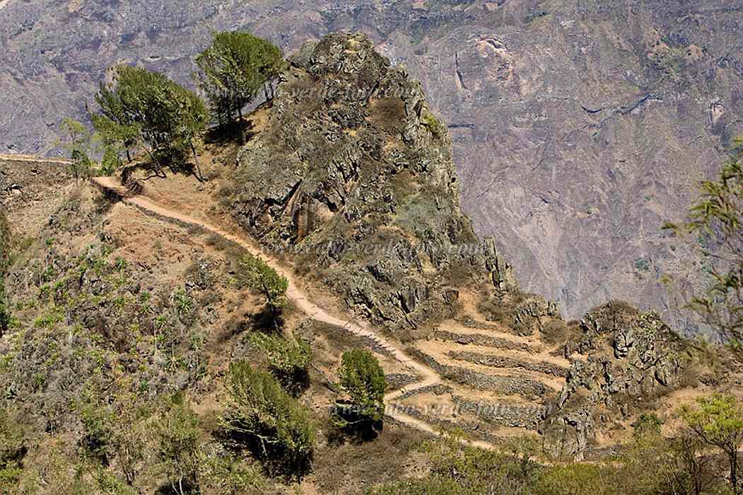 Santo Anto : Ch de Mato : caminho vicinal : Landscape MountainCabo Verde Foto Gallery