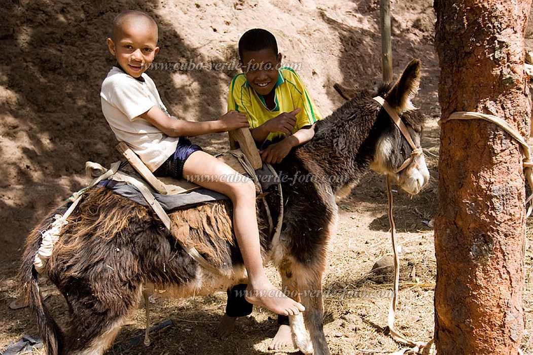 Santo Anto : Figueiral : Children playing with a donkey : People ChildrenCabo Verde Foto Gallery