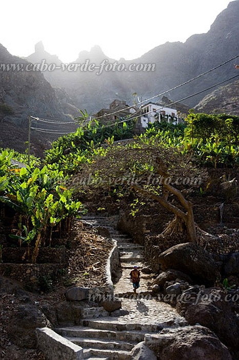 Santo Anto : R de Penede  : caminho vicinal : Landscape MountainCabo Verde Foto Gallery