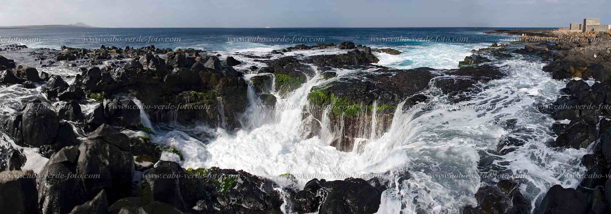Sal : Palmeira :  : Landscape SeaCabo Verde Foto Gallery