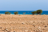 Maio : Ponta Preta :  : Landscape Desert
Cabo Verde Foto Gallery