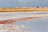 Insel: Maio  Wanderweg:  Ort: Saline Motiv: Saline Motivgruppe: Landscape Agriculture © Florian Drmer www.Cabo-Verde-Foto.com