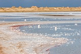 Insel: Maio  Wanderweg:  Ort: Saline Motiv: Saline Motivgruppe: Landscape Agriculture © Florian Drmer www.Cabo-Verde-Foto.com