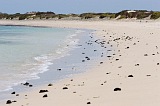 Insel: Maio  Wanderweg:  Ort: Terras Salgadas Motiv: Strand Motivgruppe: Landscape Sea © Florian Drmer www.Cabo-Verde-Foto.com