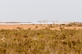 Maio : Terras Salgadas : fata morgana : Landscape Desert
Cabo Verde Foto Gallery