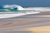 Insel: Maio  Wanderweg:  Ort: Vila do Maio Motiv: Vogel Motivgruppe: Landscape Sea © Florian Drmer www.Cabo-Verde-Foto.com