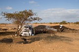 Maio : Cascabulho : carvo vegetal : People Work
Cabo Verde Foto Galeria
