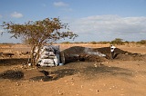 Maio : Cascabulho : charcoal : People Work
Cabo Verde Foto Gallery