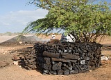 Maio : Cascabulho : carvo vegetal : People Work
Cabo Verde Foto Galeria