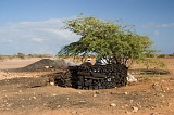 Insel: Maio  Wanderweg:  Ort: Cascabulho Motiv: Holzkohle Motivgruppe: People Work © Florian Drmer www.Cabo-Verde-Foto.com