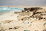 Boa Vista : Cabo Santa Maria :  : Landscape Sea
Cabo Verde Foto Galeria