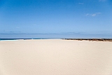 Boa Vista : Praia de Santa Mnica : praia : Landscape Sea
Cabo Verde Foto Galeria