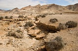 Boa Vista : Campo da Serra : paisagem : Landscape Desert
Cabo Verde Foto Galeria