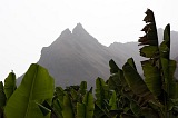 Insel: Santiago  Wanderweg:  Ort: Calheta Motiv: Banane Motivgruppe: Landscape Mountain © Florian Drmer www.Cabo-Verde-Foto.com